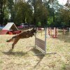 foire-haricots 2011-09-17et18